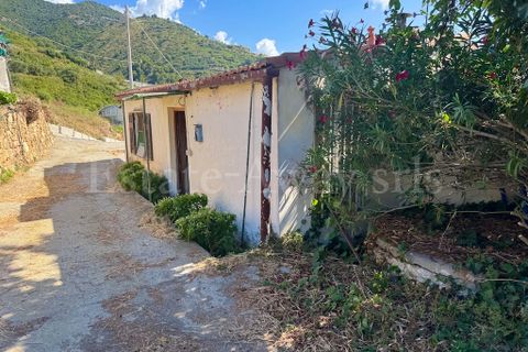 Landejendom i Ospedaletti, Imperia, Ospedaletti - € 330.000 | Ref: EM1312 - foto 14